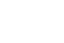 Logo for Okanagan Groom N Go, featuring a sleek design that represents pet grooming services in the Okanagan region